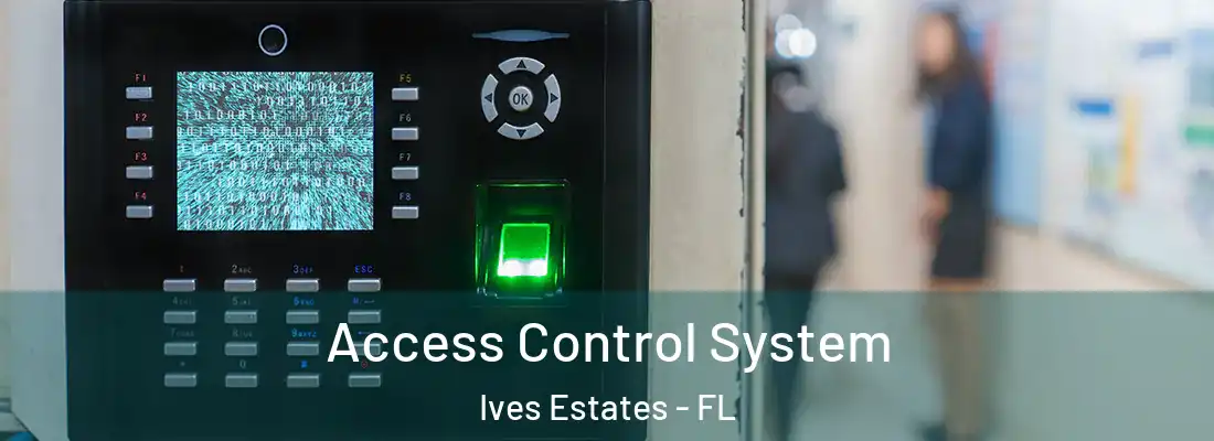 Access Control System Ives Estates - FL