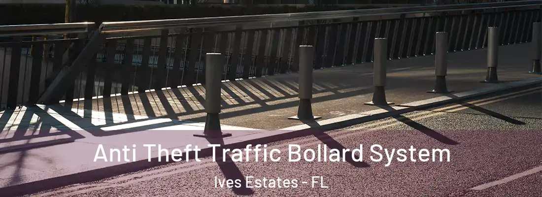 Anti Theft Traffic Bollard System Ives Estates - FL