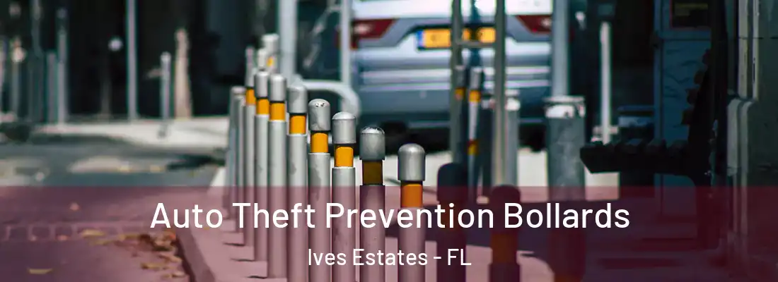 Auto Theft Prevention Bollards Ives Estates - FL