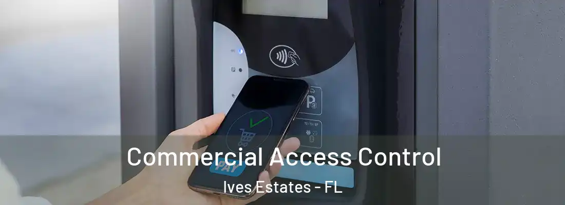  Commercial Access Control Ives Estates - FL