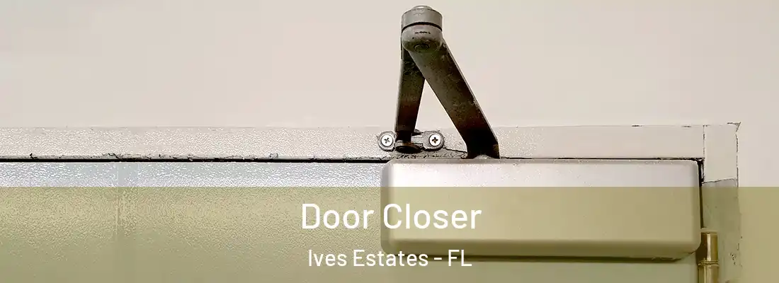 Door Closer Ives Estates - FL