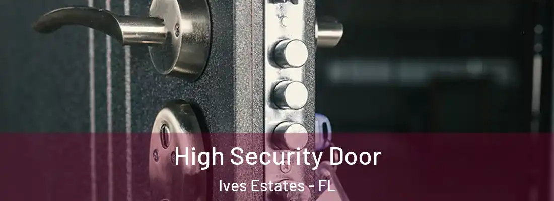 High Security Door Ives Estates - FL