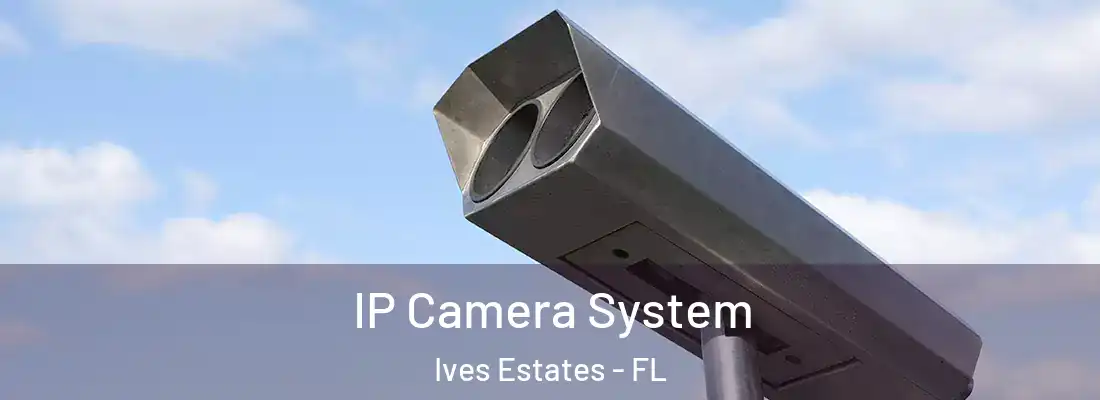  IP Camera System Ives Estates - FL