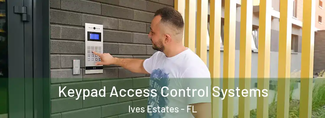 Keypad Access Control Systems Ives Estates - FL