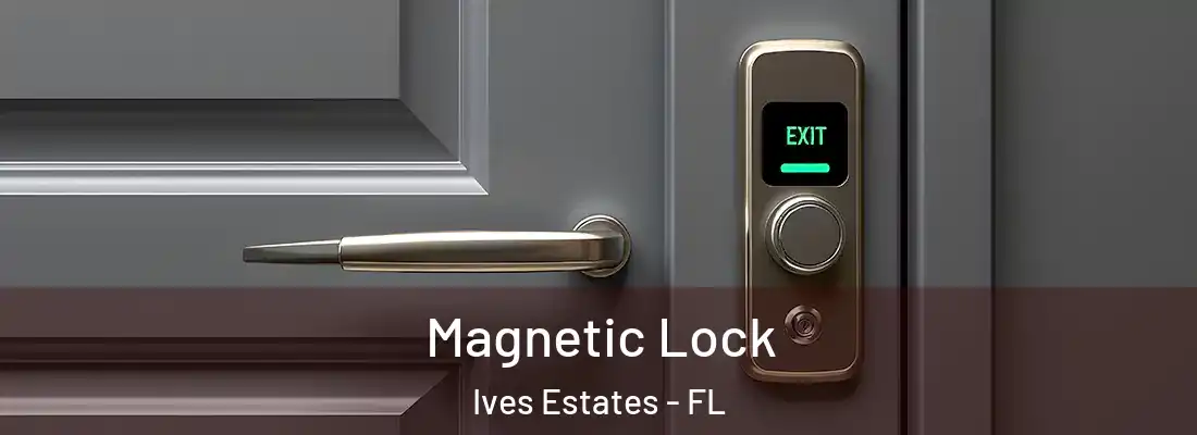 Magnetic Lock Ives Estates - FL