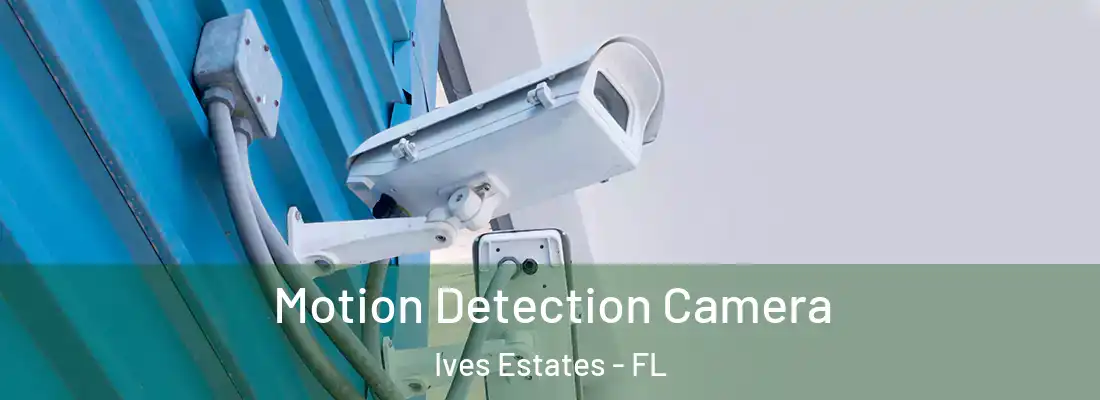 Motion Detection Camera Ives Estates - FL