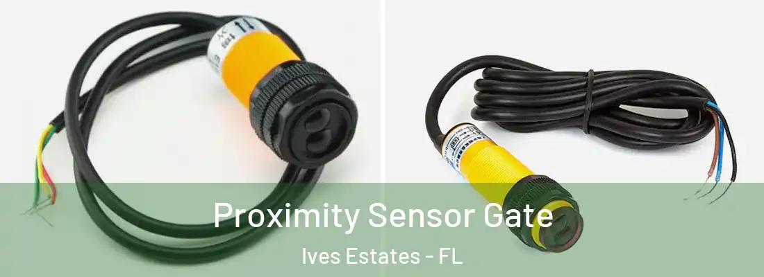 Proximity Sensor Gate Ives Estates - FL